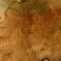 Asura - Il y a toujours un chemin