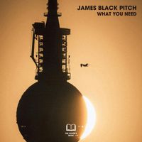 James Black Pitch - What You Need