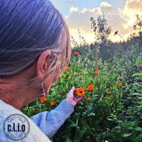 Clio - Marigold Memory