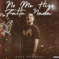Gael Herrera - No Me Hizo Falta Nada