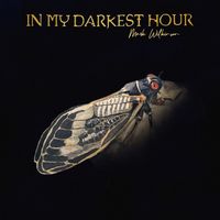 Mark Wilkinson - In My Darkest Hour