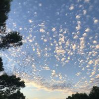 Rainer Scheurenbrand - Duo Jardim: Beyond Words