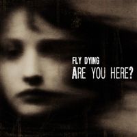 Fly Dying - Are You Here