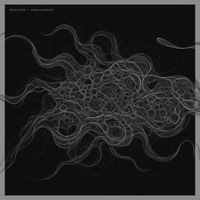 Re:elected - Noise Exposure