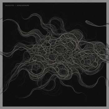 Re:elected - Noise Exposure