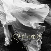 莫叫姐姐 - 没等到的婚纱 (莫叫版)
