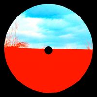 Palette - Halcyora