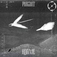 ADAME - Pursuit