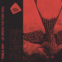 Pablo Say - We Bring The Fire Now