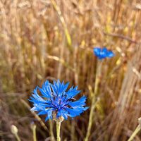 Miko - Wszystko Co Dobre