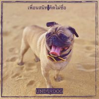 Underdog - เพื่อนสนิท คิดไม่ซื่อ