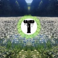 Tom - Never Meant It
