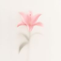 Juanjo Tur - To The Top