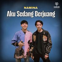 Namina - Aku Sedang Berjuang