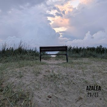 AZALEA - 20/25