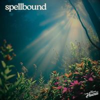 Harry Hawaii - Spellbound