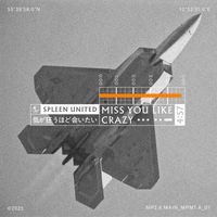 Spleen United - Miss You Like Crazy