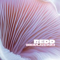 Redd - Simulakrum