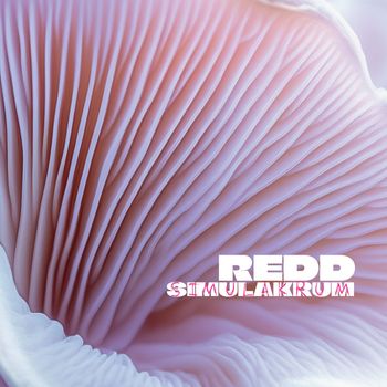 Redd - Simulakrum