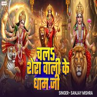 Sanjay Mishra - Chala Shera Wali Ke Dham Ji