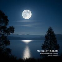 Stephen Kovacevich - "Moonlight" Sonata - Beethoven, Chopin, Schubert, Brahms, Debussy