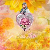DLC - Soso Lobi