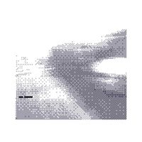 Lido - DIGITAL DUST II (Explicit)