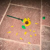 MrC - TOY (Explicit)