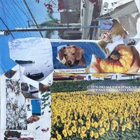 Kiss Hello - Summerdata