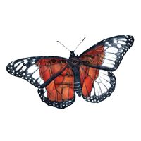 Monarca - butterfly effect (Explicit)