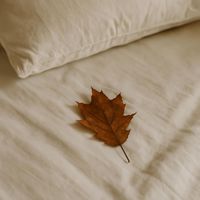Kaine Francesco - Autumn Leaves