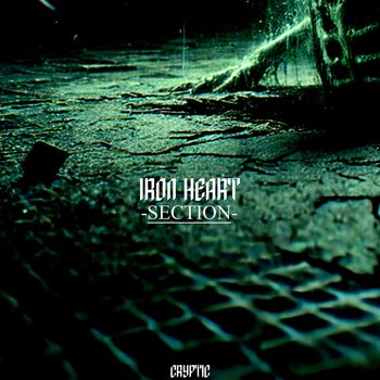 Section - Iron Heart