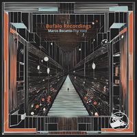 Marco Bocatto - The Void