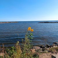 AstroPilot - Flower by the Lake