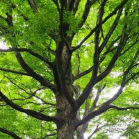 Pilgrim Road - Stand up and Say You Care (Live)