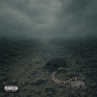K-Trap - When The Dust Settles (Explicit)