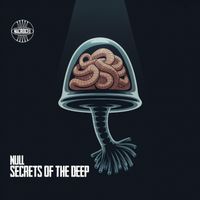 Null - Secrets of The Deep