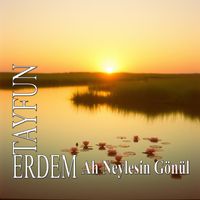 Tayfun Erdem - Ah Neylesin Gönül
