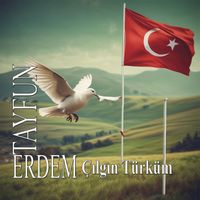 Tayfun Erdem - Çılgın Türküm