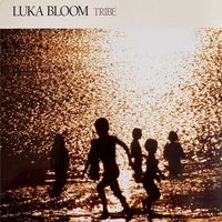 Luka Bloom - Tribe