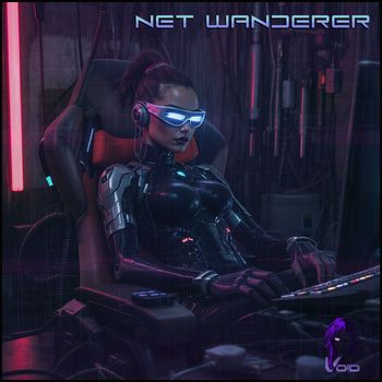 Void - Net Wanderer