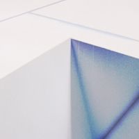 Jamie Myerson - The Shape of Forever