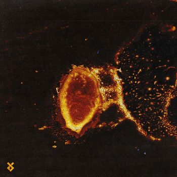 Arutani - Artefacts