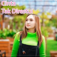 Jihan Audy - Cinta Tak Direstui