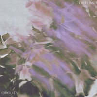 Circuits - term limit