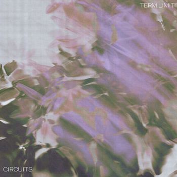 Circuits - term limit