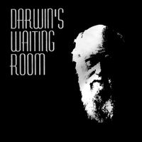 Darwin's Waiting Room - Darwin's Waiting Room (Explicit)