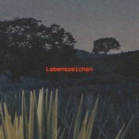 LIT - Lebenszeichen (Explicit)