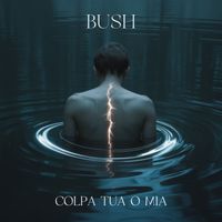 Bush - COLPA TUA O MIA