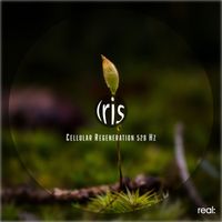 Iris - Cellular Regeneration 528 Hz